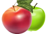 Саженцы сорта яблони Хани Криспи