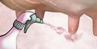 Гигиена после доения SensoSpray 50