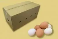 Гофроящик под яйцо 630х320х340